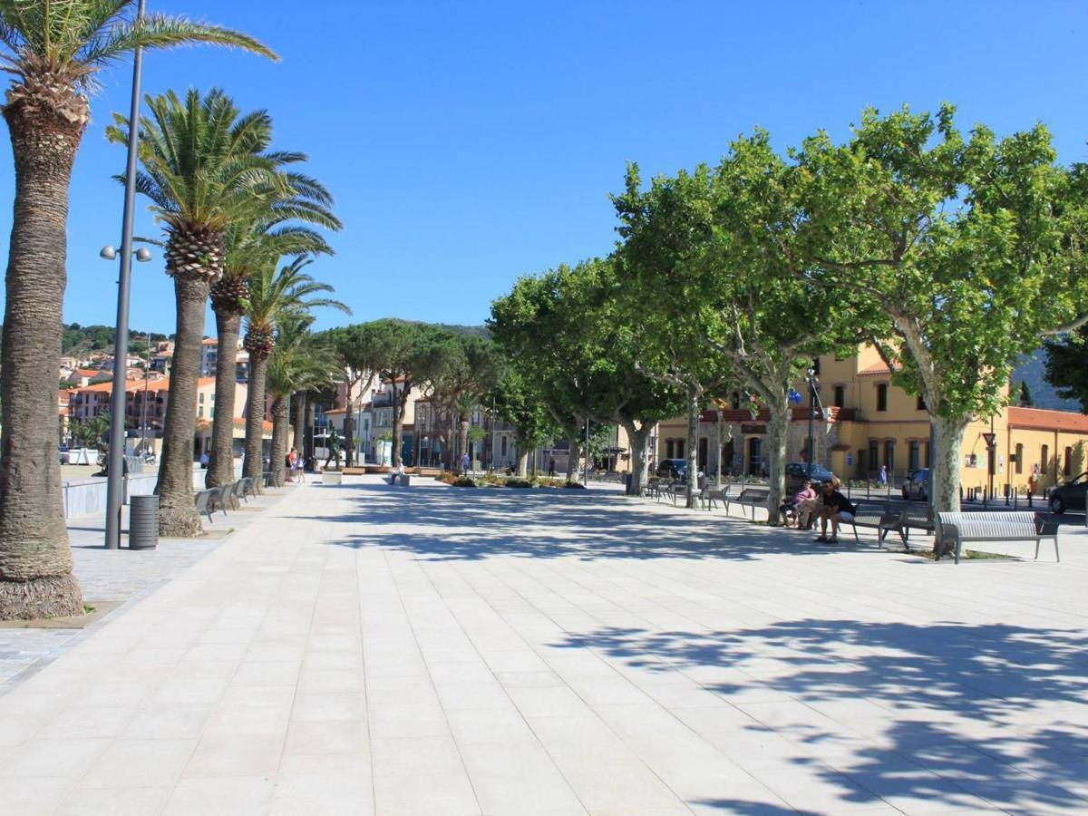 Appartement 3 Pieces Avec Parking Et Lave-Linge, A 500M Du Port - Banyuls-Sur-Mer - Fr-1-225C-274 ภายนอก รูปภาพ